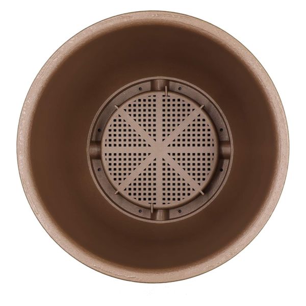 アップルウェアー 陶鉢 輪型 ５号 きん茶 4905980105065 1個（直送品 