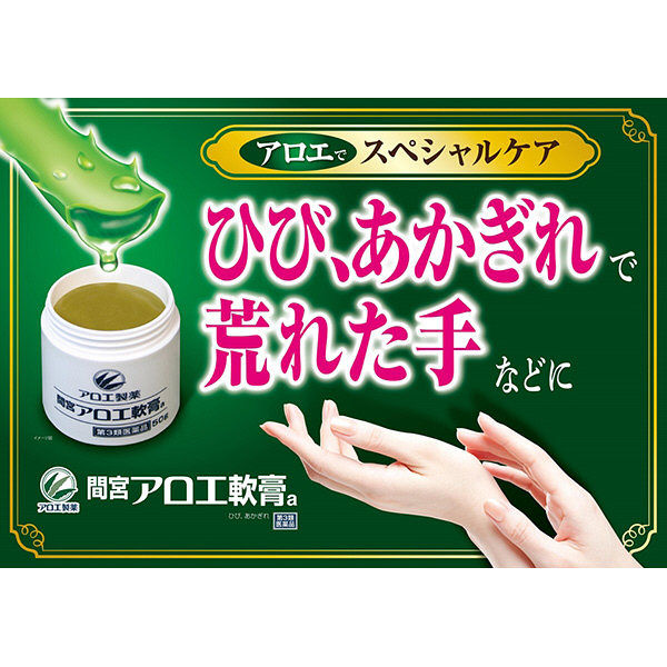 間宮アロエ軟膏 90g 小林製薬【第3類医薬品】 - アスクル