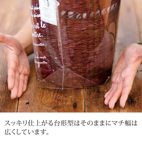 ヘッズ BKFギフトOPPポットバッグ-L BKF-OPCL 1セット(250枚 ヘッズ BKFギフトOPPポットバッグ-L BKF-OPCL 1セット(250枚