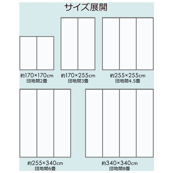 イケヒコ い草ラグ 花ござ カーペット ラグ 6畳 『ピーア』 団地間6畳 幅2550×奥行3400mm ブラウン 1枚（直送品） - アスクル