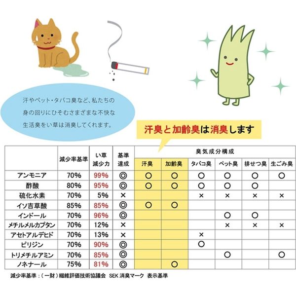イケヒコ 玄関マット 室内 国産い草 『Fカラフルブロック』 幅