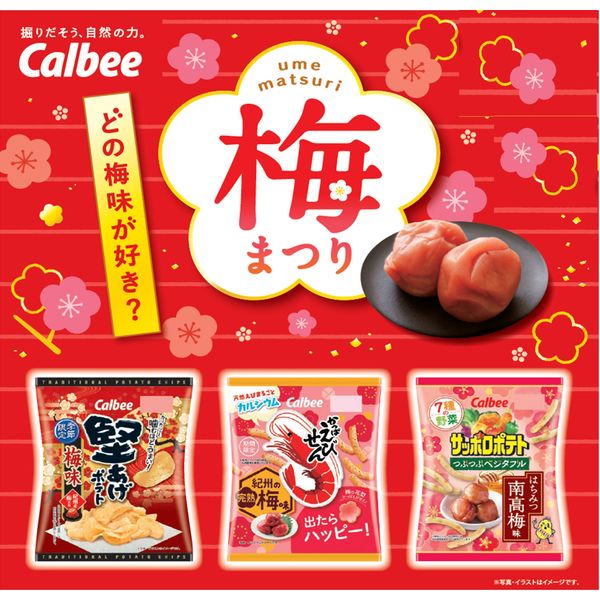 かっぱえびせん 紀州の完熟梅味 70g 6袋 カルビー スナック菓子