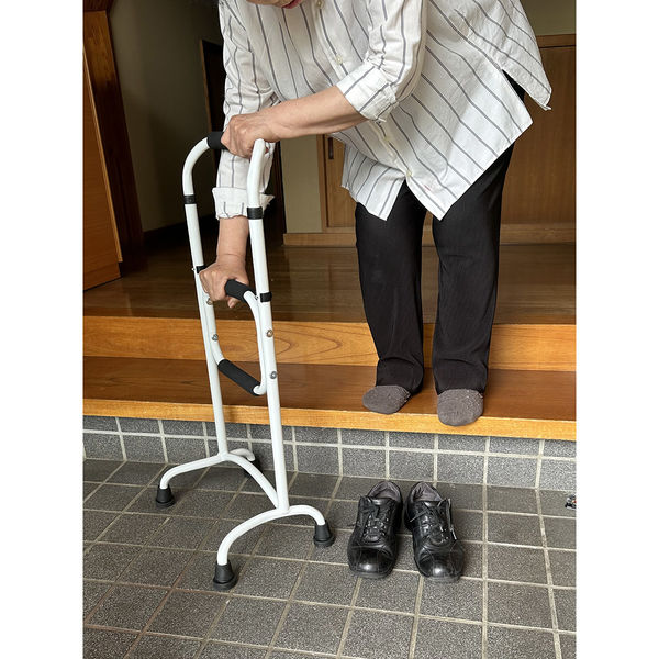 Fuji Home 立ち上がり補助器具 ホワイト