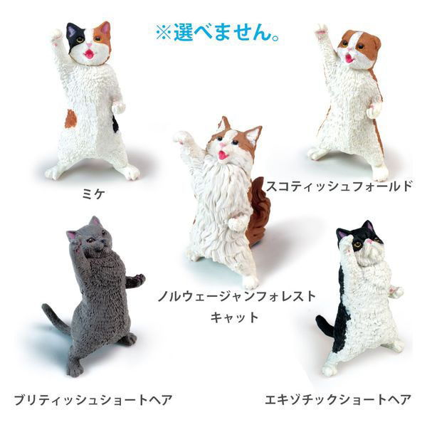 エール フィギュア NYAoooo!! 4573553072085 1個（直送品
