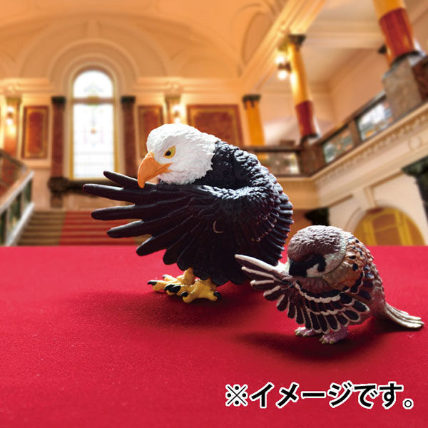 エール フィギュア 執事 BOX 4589469849741 1個（直送品