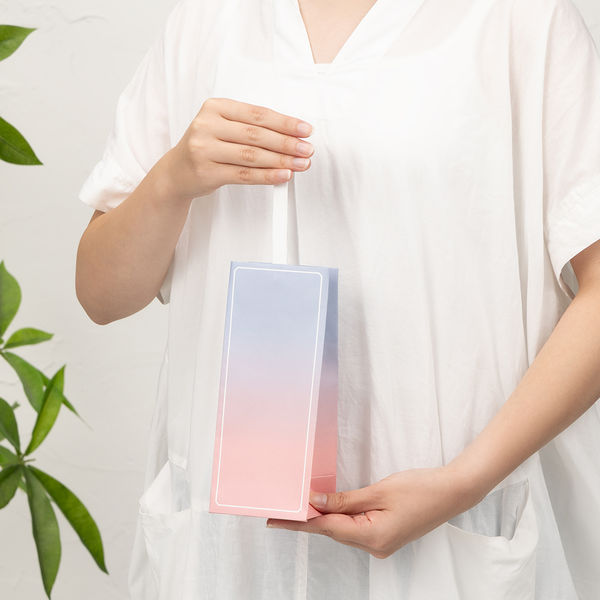 数量限定】グラデーションギフトバッグ 4サイズセット 限定
