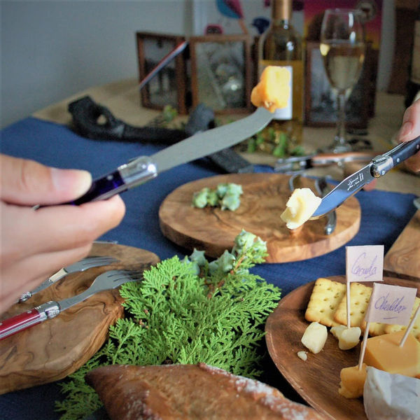 ライヨール ABSハンドル ミニチーズナイフ パリスブルー 4310044