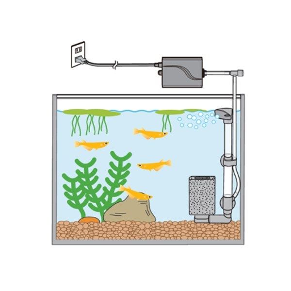 メダカ元気 メダカを育てるフィルターセット 1個 ジェックス