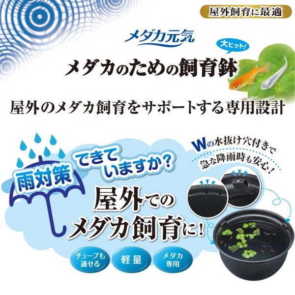 メダカ元気 メダカのための飼育鉢 黒 420 1個 ジェックス - アスクル