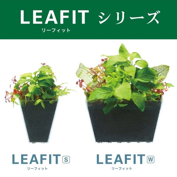 【超安い】 水草 W リーフィット 1個 アスクル - 水槽 ジェックス 水草