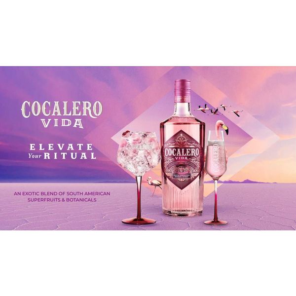 コカレロ ヴィーダ 22度 700ml 1本 国分 リキュール - アスクル
