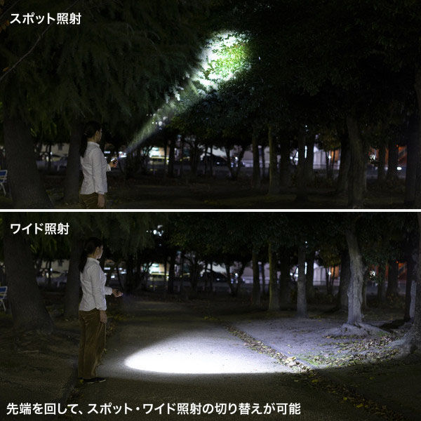 サンワサプライ ペン型ライト(ショートタイプ) LED-PEN2BK 1個