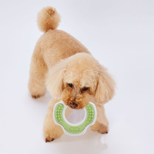 犬のおもちゃ　まとめ売り　中型犬　大型犬　小型犬　KONG Petio デンタル ペティオ かんでるリング デンタル ソフトタイプ 超小型犬～小型