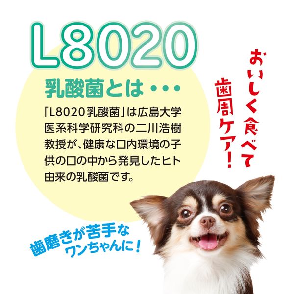 ゴン太の歯磨き専用ガム L8020乳酸菌入 SS クロロフィル入 国産