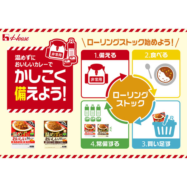 ハウス食品 温めずにおいしいカレー 香りたつキーマカレー 1人前