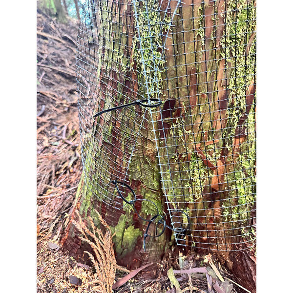 ★rio★ コメ逃げブロックページ「Cセラム グリーン」 楽天市場】ONESORA 猫よけシート止め 鳥よけステンレスピン