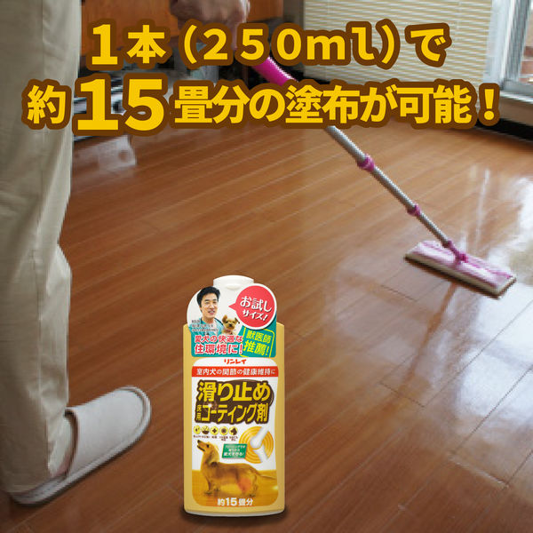 リンレイ 滑り止め 床用コーティング剤 15畳用 250mL 1セット（1本×3） アスクル