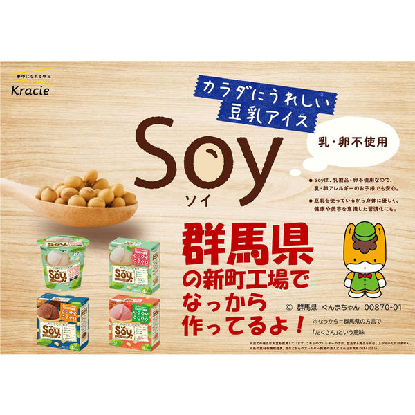 アイス] クラシエ Soy マルチセット3種X2個(バニラ・チョコ