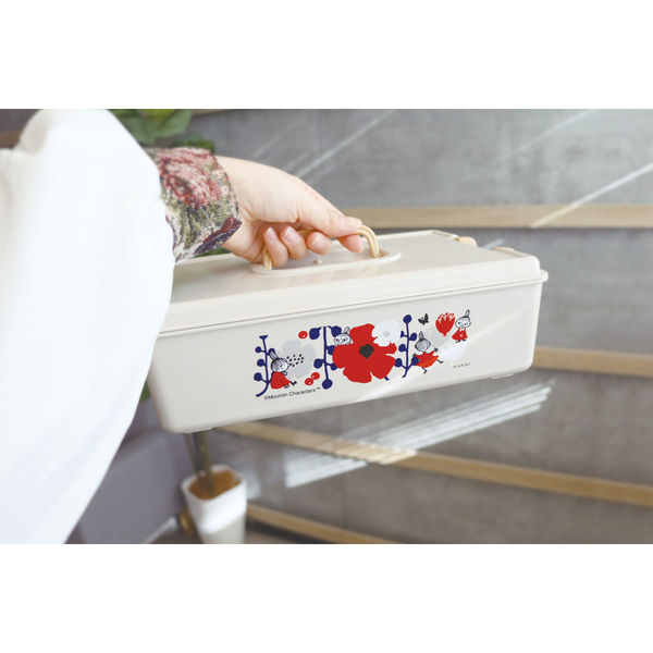 錦化成 リトルミイ パチットBOX(BE-flo) 4460134 1個（直送品
