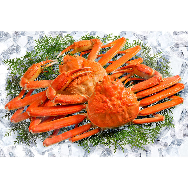 キングマカデミアンJAPAN ずわい蟹 K910020 1セット（直送品） - アスクル