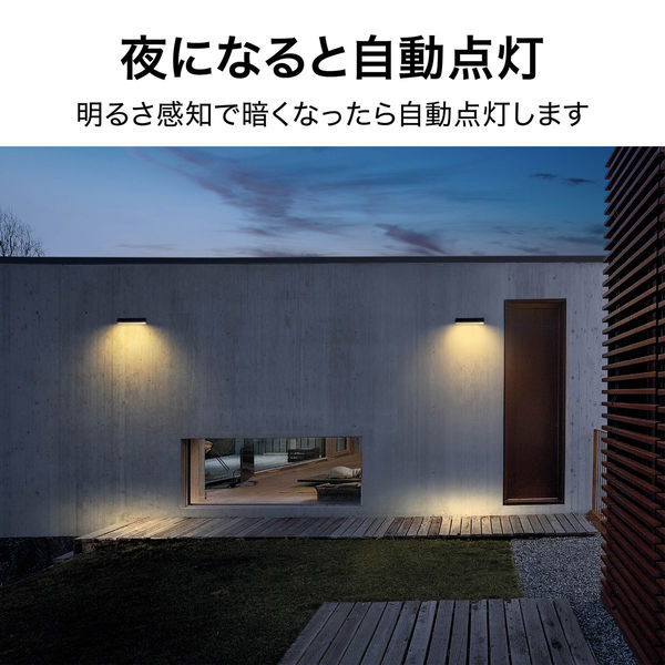 骨董　時代ガラス　希少　練りガラス　蛍光色　ライオン　台座付きモチーフ　オブジェ ライフシェルズ - LIFE SHELLS - | 白山陶器直営オンラインストア