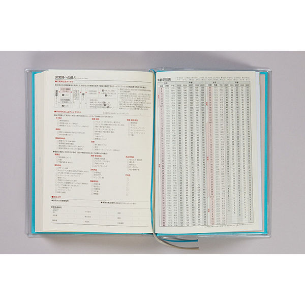高橋書店 【2025年版】5年横線当用新日記 A5 5年連用 アッシュ