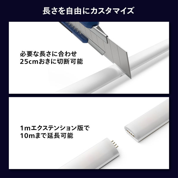 Signify グラデーションライトリボン エクステンション(1m) PHGLS1 1個