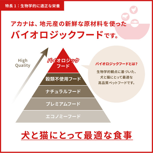 アカナ 総合栄養食 ライト＆フィット レシピ 成犬 2kg 1袋 ACANA