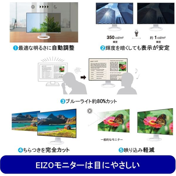 EIZO <FlexScan>24.1インチカラー液晶モニター EV2495-BK 1台