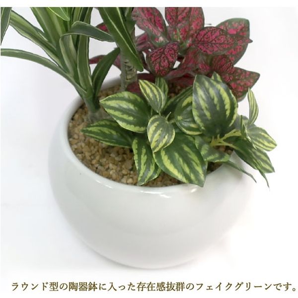 ササガワ フェイクグリーン・人工観葉植物 ユッカ寄植え Sサイズ 32-8707 1個（直送品） - アスクル