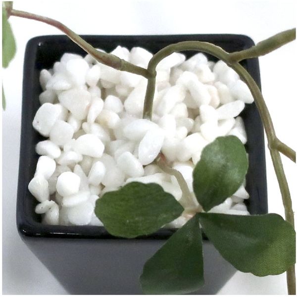 ササガワ フェイクグリーン・人工観葉植物 シュガーバイン BLK S ササガワ フェイクグリーン・人工観葉植物 シュガーバイン BLK S