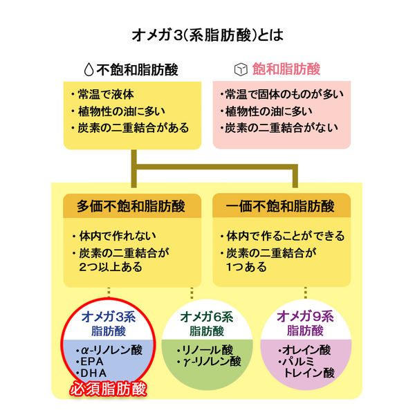 JOYL アマニ油 100g ペット 1セット（2本） ( アマニ油 100% 鮮度