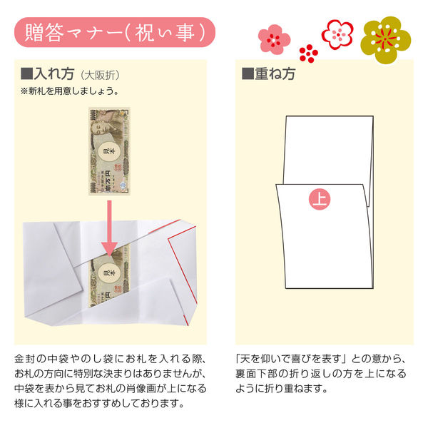 ササガワ 新金封 祝用 大判 OA短冊 27-6507 1セット(1枚×5)（取