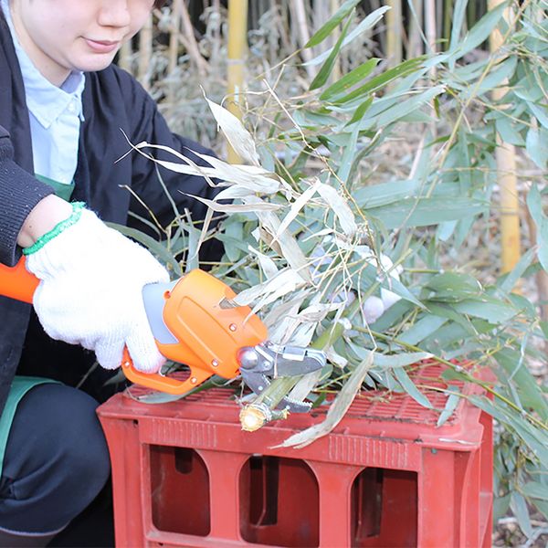 IRONCHOP 菓子切り　SALE チョコりんご | セゾンファクトリー WEB SHOP