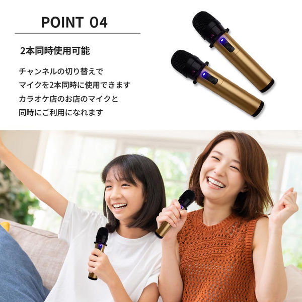ペンタトニック GTM300ワイヤレスマイク(シャンパンロゼ