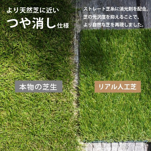 ミナト電機工業 リアル人工芝 防草タイプ 1m×10m デラックス AT-DX351-0110 1個(直送品) ミナト電機工業 リアル人工芝 防草タイプ 1m×10m デラックス AT-DX351-0110 1個(直送品)