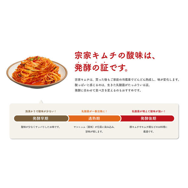 大象ジャパン [冷蔵] 宗家キムチ 本場こだわりキムチ 750g×2個