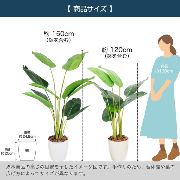 140cm フェイクグリーン 観葉植物 オーガスタ 癒し インテリア オフィス 人工 観葉植物 フェイク グリーン オーガスタ H約140cm 店舗