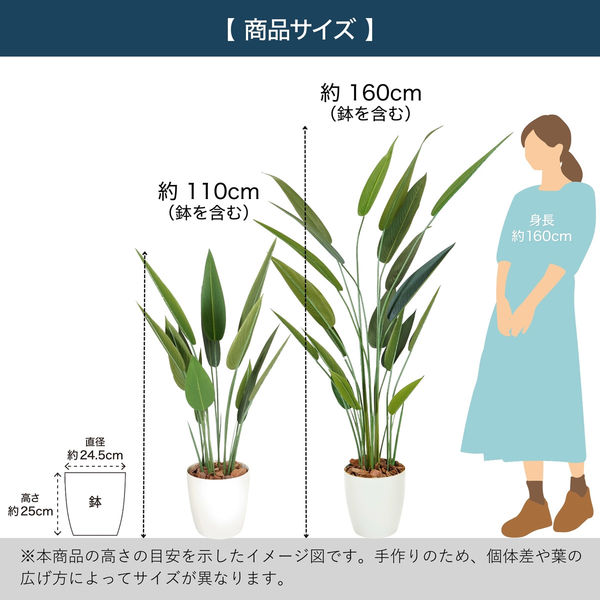 エスエスケイ 光触媒インテリアグリーン ストレリチア 110cm