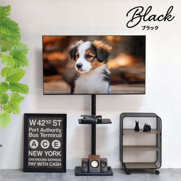 軒先渡し】B.Bファニシング HASE 棚付きテレビスタンド ブラック