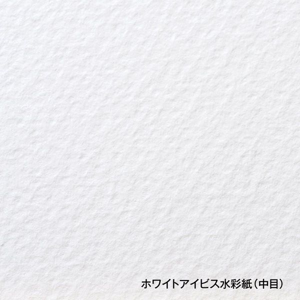 その他 R/in ホルベイン ホワイトアイビス水彩紙 ミニ色紙 31枚入 (271334