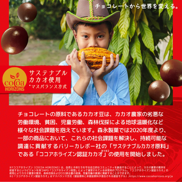 ザクザクチョコボール ＜ピーナッツ＞ 48g 10袋 森永製菓