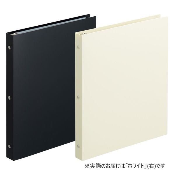 【グリーンリリアルプ】　【ブラックリリー】【スノーホワイトプラチナシルバー】 b5365586def0c3e16c062fddc4bebe