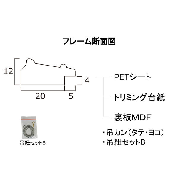 大仙 みんなの画用紙額 四ツ切判 ナチュラル D48104401 1枚 - アスクル