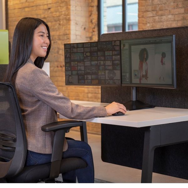 エルゴトロン DS100 モニタースタンド デュアル 横型 ブラック 24