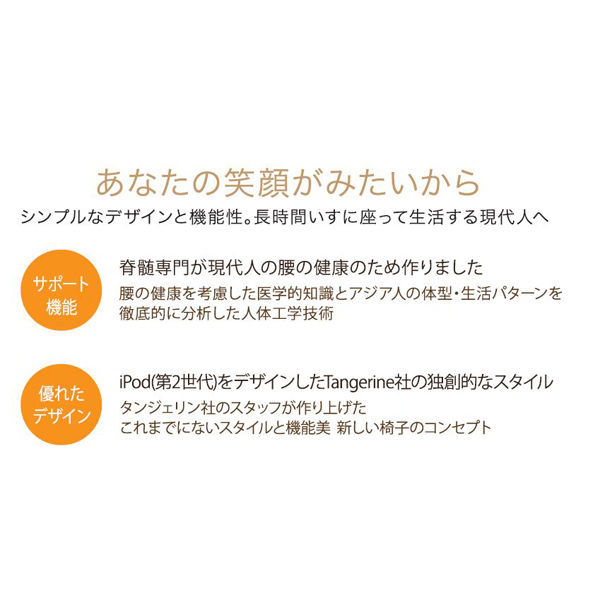 【アウトレット】【B級品】吉桂 腰の健康を守るオフィスチェア iPole7（アイポール7） 革グレー ロックキャスター 1脚（直送品）