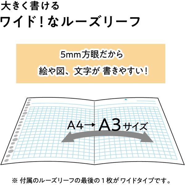 マルマン セッション バインダー A4 30穴 ピンク F584-08 1冊（直送品）