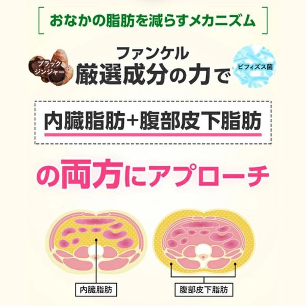 ファンケル 内脂サポート <機能性表示食品> 60日分 [FANCL