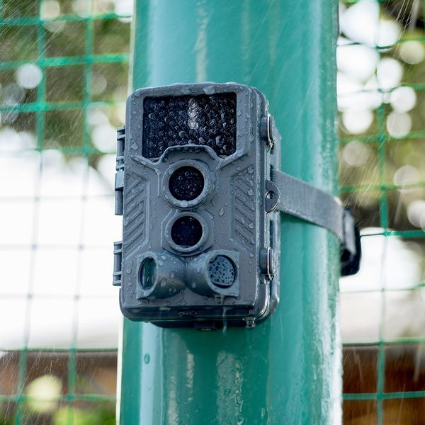 サンワダイレクト 防犯カメラ トレイルカメラ（家庭用・屋外・屋内・電源不要・乾電池式・防水防塵IP54） 400-CAM061 1台（直送品）