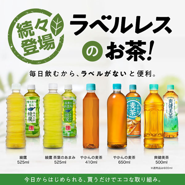 大井川茶園 国内産ノンカフェイン19種類のブレンド茶 1セット（48バッグ：24バッグ入×2袋）